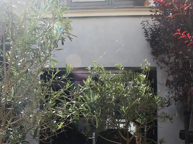 Achterhuis Slapen En Eten Tatil Evi Gouda